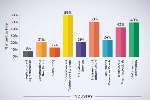 Domain Dynamics in 2024 : Insights into Diverse Professional Fields