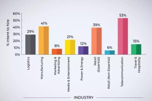 Domain Dynamics in 2024 : Insights into Diverse Professional Fields